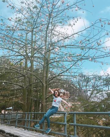 Ảnh:Ngân Hoàng