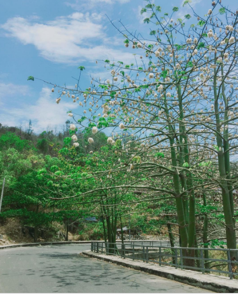 Ảnh:@qu4nhuynh