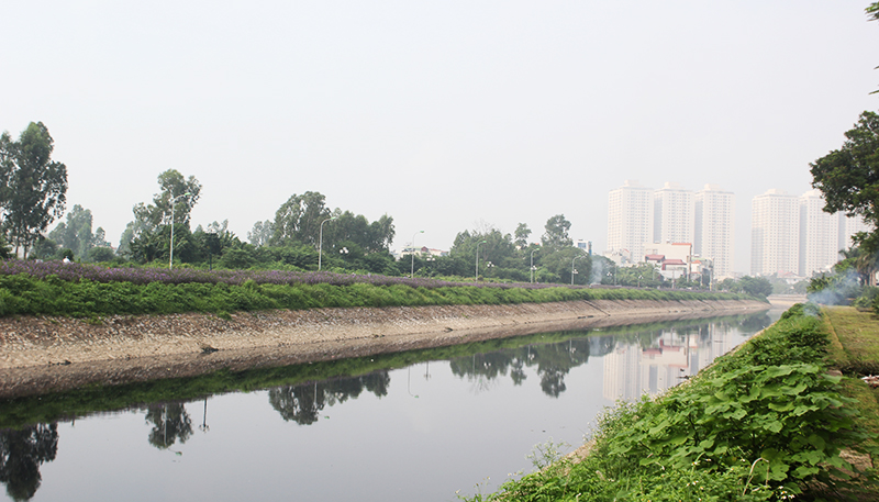 Đoàn thanh niên chăm sóc con đường hoa chiều tím