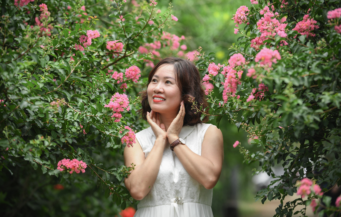 Những chùm hoa tường vi sà ngang tầm mắt, phù hợp chụp ảnh và trú bóng