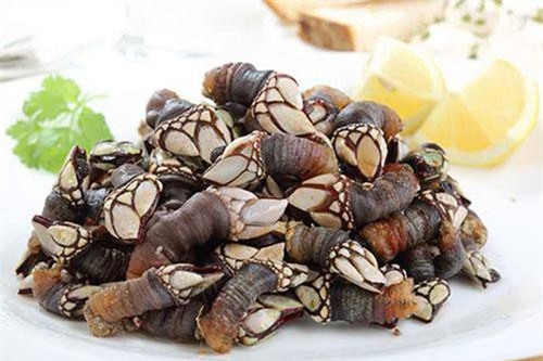 Hà ngỗng Tây Ban Nha bám trên đá