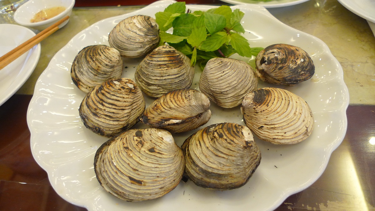 Con ngán Quảng Ninh – Đặc sản biển có cái tên độc lạ