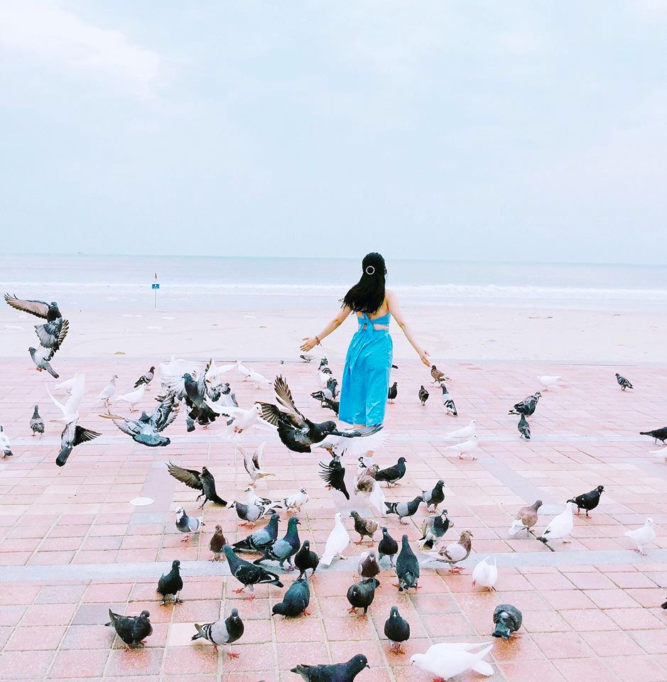Công viên biển Đông Đà Nẵng - công trình kiến trúc Đà Nẵng Công viên biển Đông Đà Nẵng - công trình kiến trúc Đà Nẵng