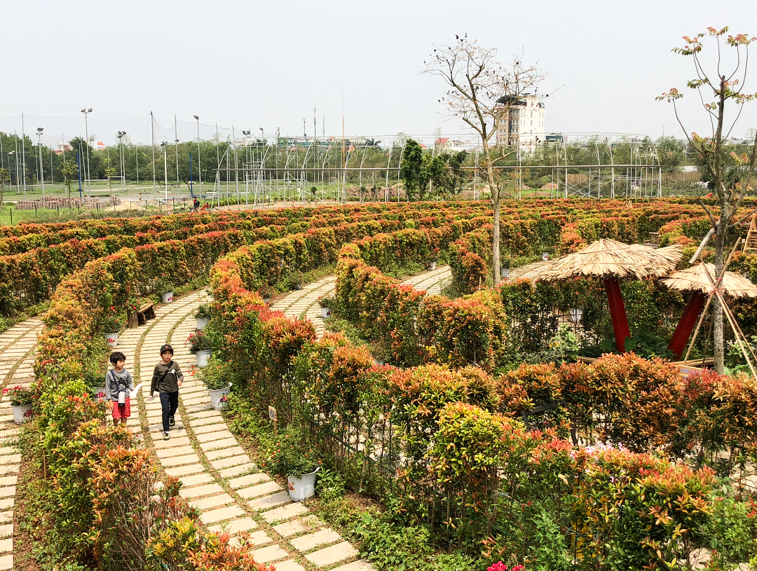 cong-vien-hoa-hong-5