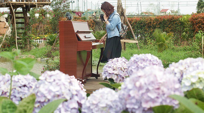 cong-vien-hoa-hong-rose-park-1