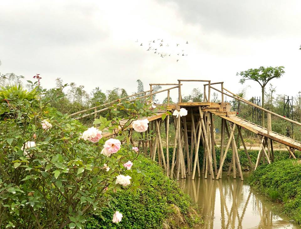 cong-vien-hoa-hong-Rose-Park-Hà-Nội-ivivu-1