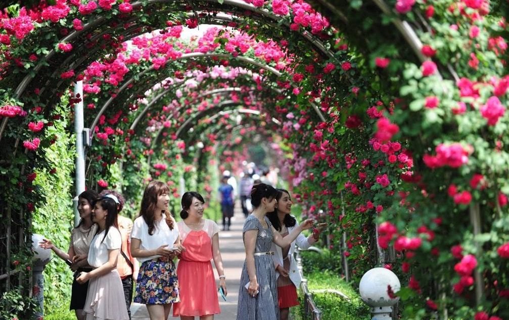 cong-vien-hoa-hong-Rose-Park-Hà-Nội-ivivu