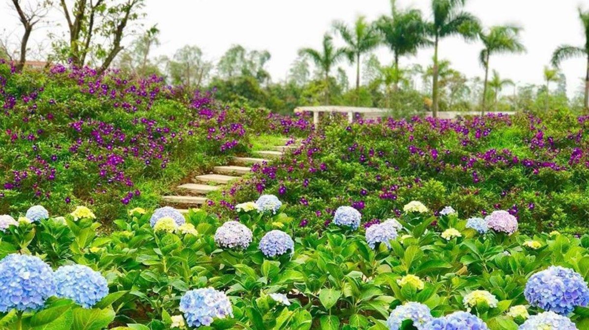 cong-vien-hoa-hong-Rose-Park-Hà-Nội-ivivu-3