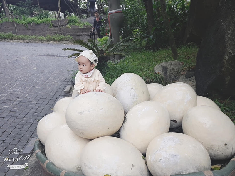 Mô hình khủng long tại công viên khủng long Đà Nẵng