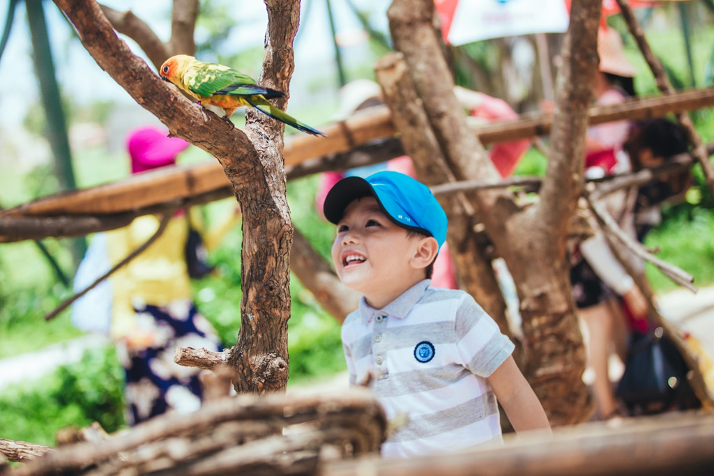 Kết thúc hành trình River Safari Nam Hội An
