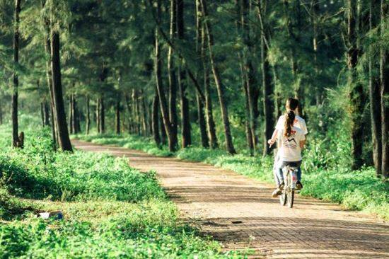 Con đường tình yêu trên đảo Cô Tô