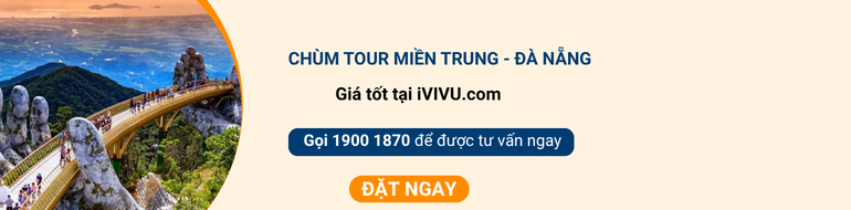 cta-blog-ivivu-com-85
