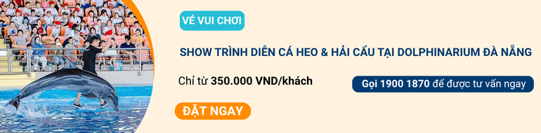 cta-blog-ivivu-com-86-6