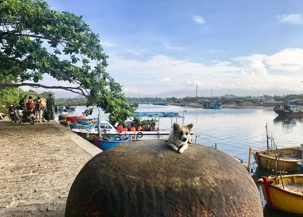 Bến tàu Liên Hương khi đi du lịch Cù Lao Câu