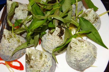 Đặc sản ốc vú nàng khi du lịch Cù Lao Chàm