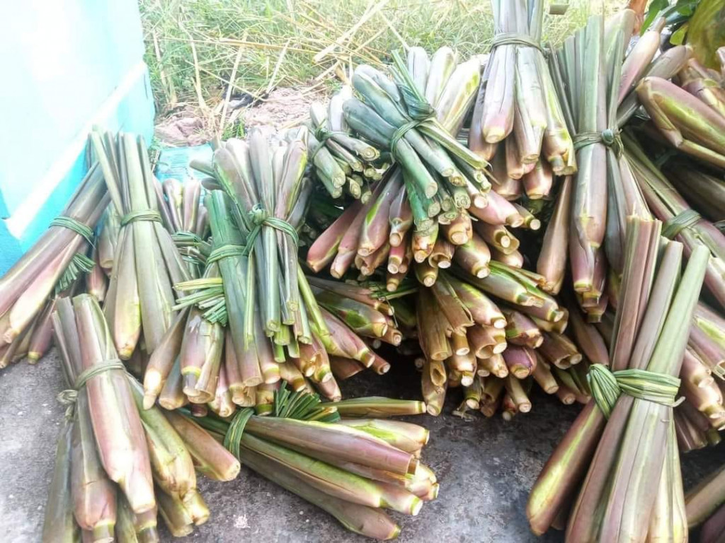 Củ niễng đặc sản tươi ngon. Ảnh: Fb Quỳnh Bé.