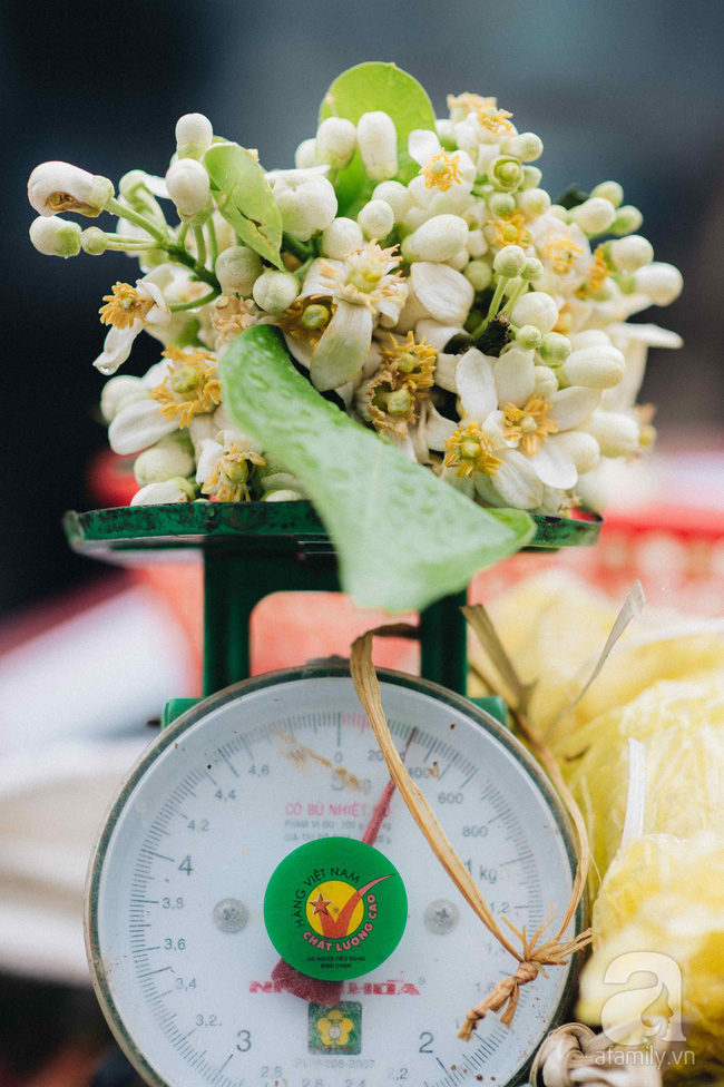 Hoa bưởi tươi thơm trên phố Hà Nội