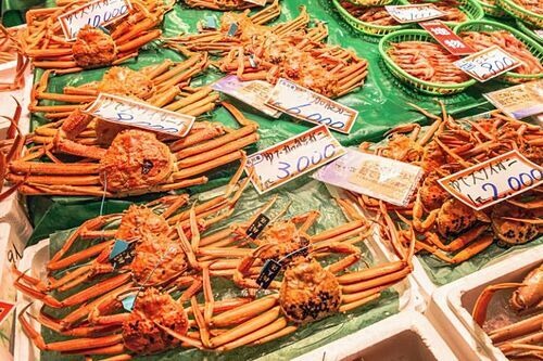Cua tuyết Nhật Bản tươi có giá cao và thường bán tới hơn 90 USD mỗi con. Những con ngon, nặng có giá lên tới 230 USD. Ảnh: Wow.