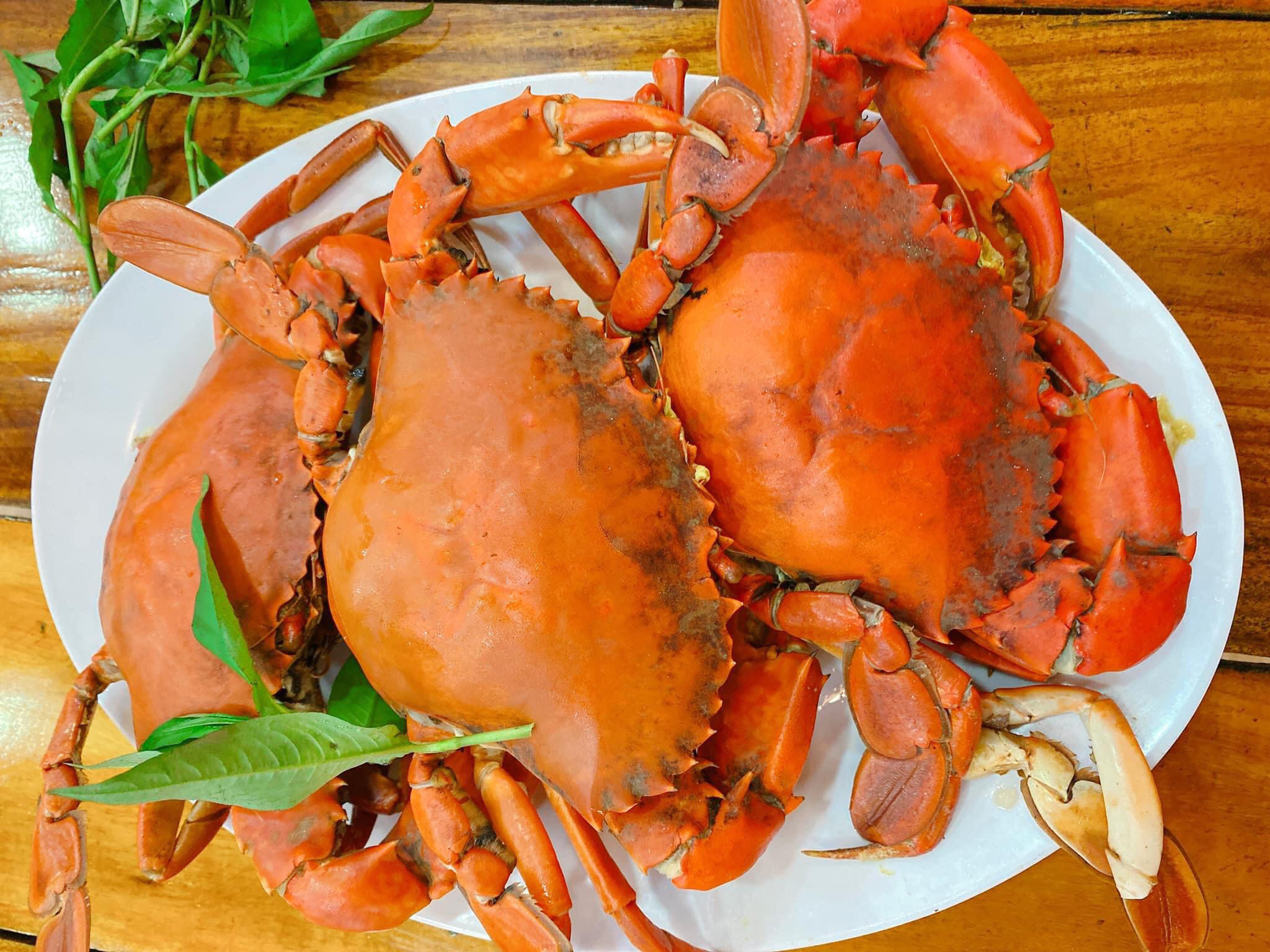 Cua Cà Mau đặc sản Cà Mau