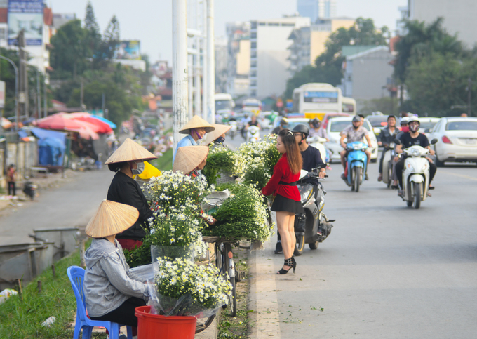 Ngày thường, chợ hoa Quảng Bá chỉ nhộn nhịp vào ban đêm và vãn dần sau 4h sáng. Nhưng vào mùa hoa, khu chợ hoạt động cả ngày. Cúc họa mi bày bán rất nhiều ở cổng chợ và trên đường đê, đáp ứng nhu cầu khách khi đi qua đây.  Nếu dư dả thời gian, bạn có thể ghé địa điểm này từ 3h sáng, để kịp lưu lại những hình ảnh tấp nập người mua kẻ bán của chợ hoa và mua một bó làm kỷ niệm khi ra về.
