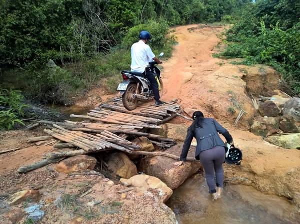 Cầu tạm trên cung đường xuyên rừng Phú Quốc