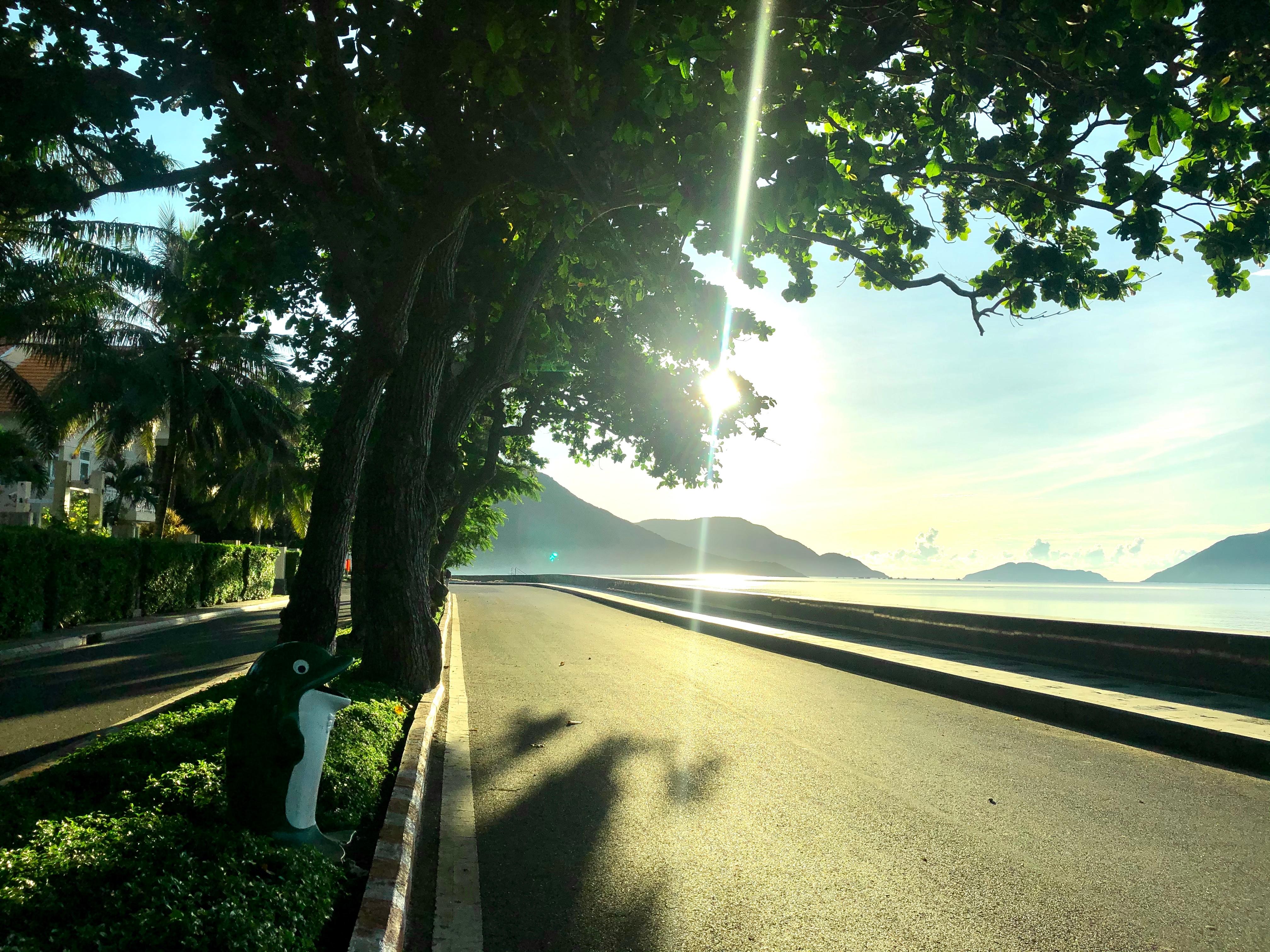 Cung đường Tôn Đức Thắng.