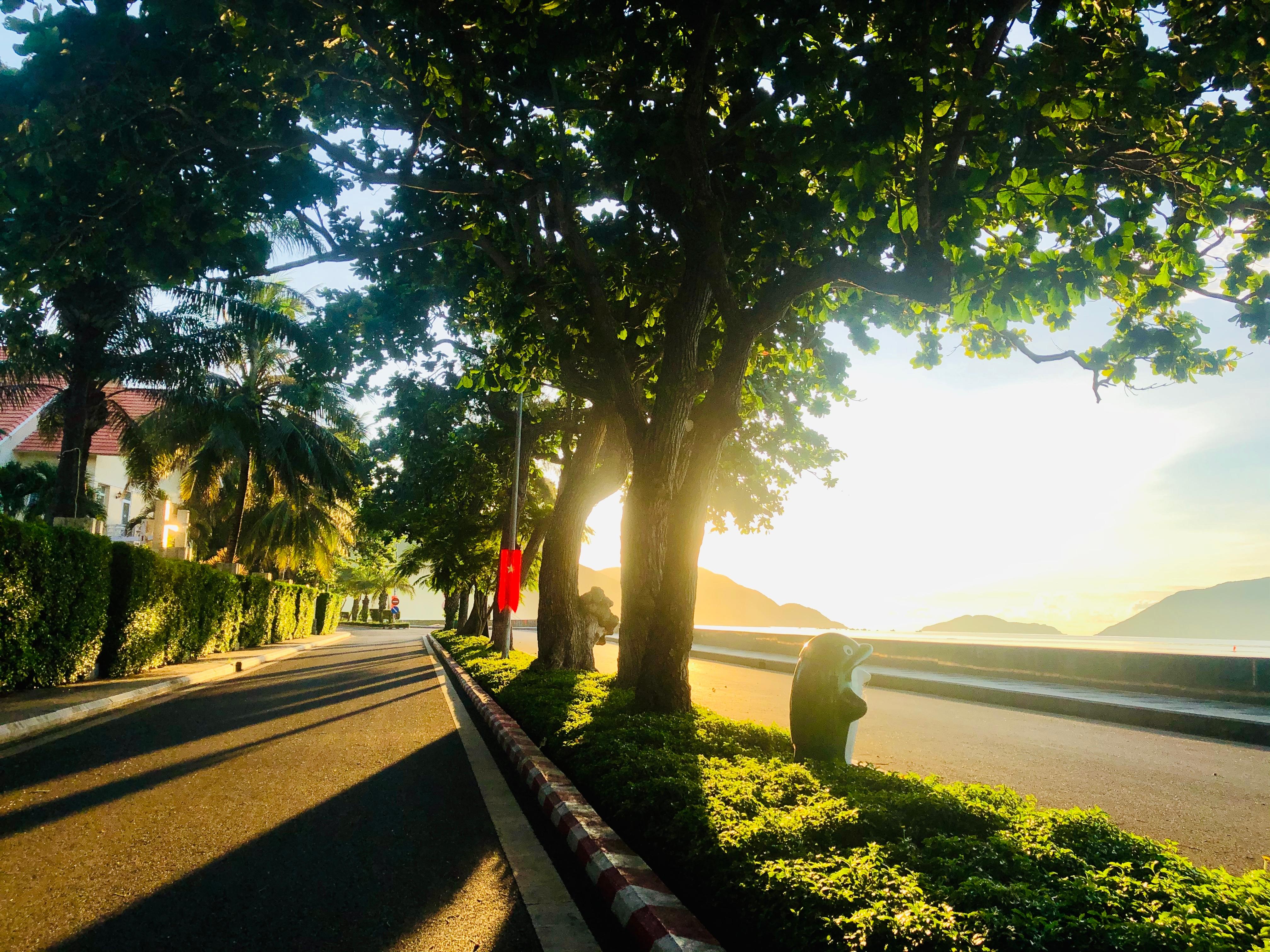 Cung đường Tôn Đức Thắng.