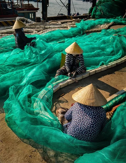 Vẻ đẹp lao động bình dị tại cảng cá Hòn Rớ Nha Trang thu hút nhiếp ảnh gia