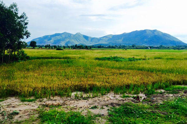 Du lịch Vũng Tàu cuối tuần trekking suối Tiên và núi Dinh