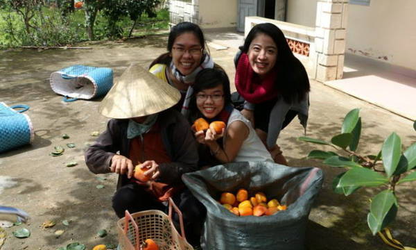 Hồng ăn liền tại vườn thì không còn gì thú vị bằng - Ảnh: Thu Anh