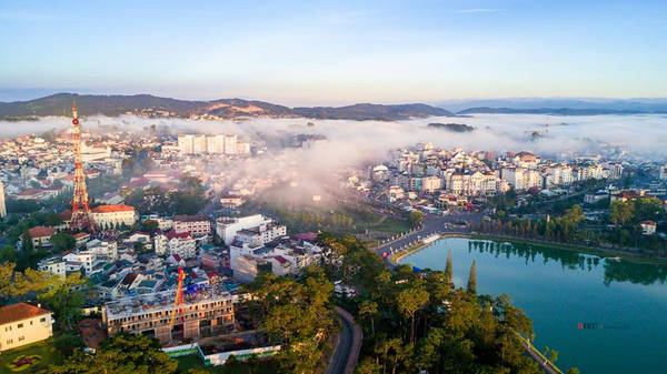 Bình minh Đà Lạt se lạnh với con đường đầy thông reo