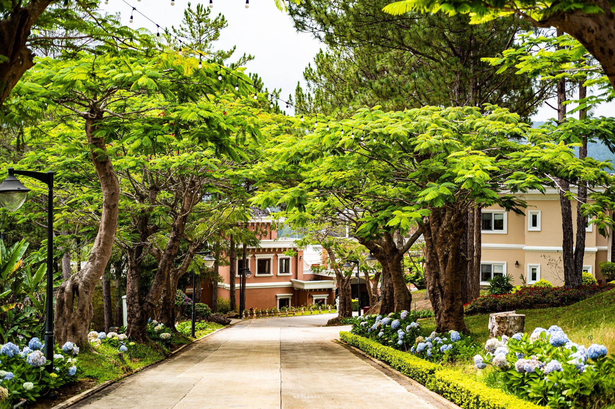 Không gian hài hòa tại Đà Lạt Edensee Lake Resort