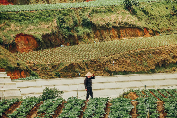 Hai mảng màu của Đà Lạt khác lạ: công nghiệp và tự nhiên