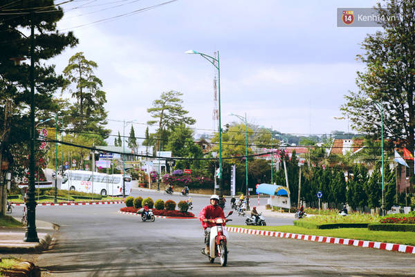 Trải nghiệm nhịp sống không còi xe khói bụi tại Đà Lạt