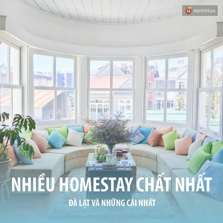 Trải nghiệm lưu trú tại homestay cực chất ở Đà Lạt