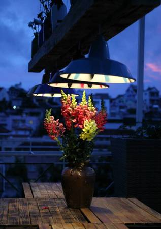 Không gian chung tại Đà Lạt Note Hostel
