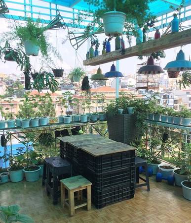 Ban công ngập tràn hoa tại Đà Lạt Note Hostel