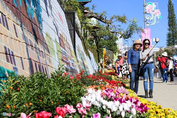 Bức tường hoa nghệ thuật độc đáo tại Festival hoa Đà Lạt