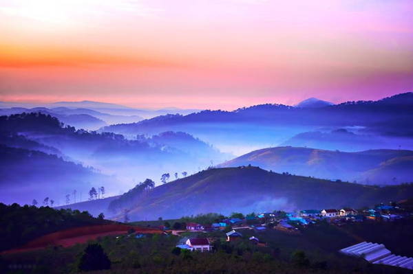 Ban mai hồng ở Trại Mát với biển mây ẩn hiện - Ảnh: Cao Cát