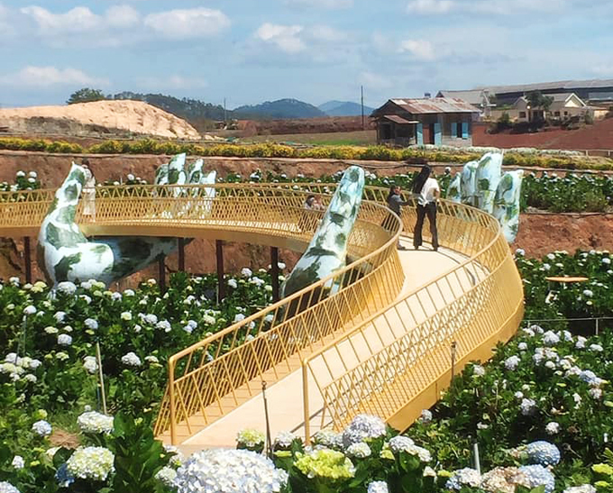 Cầu Vàng Đà Lạt ở cánh đồng cẩm tú cầu Trại Mát