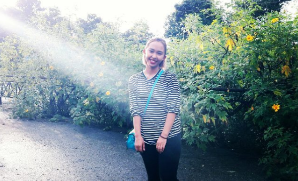 Sắc hoa dã quỳ Ba Vì lung linh dưới nắng