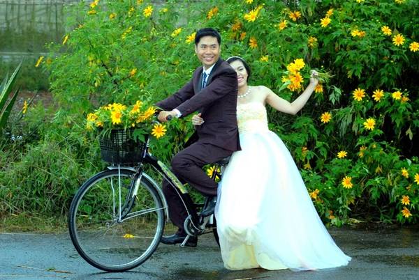 Chụp ảnh cưới bên dã quỳ Đà Lạt