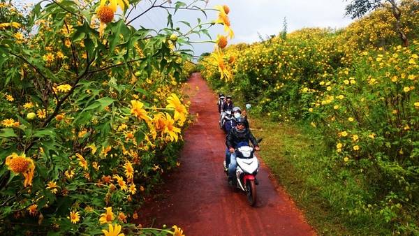 Phượt qua các vùng đất có dã quỳ mùa này tạo nên những cung bậc cảm xúc khác nhau.