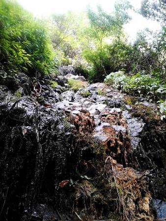 Huyện Đạ Tẻh là nơi chúng tôi dự định cắm trại qua đêm.