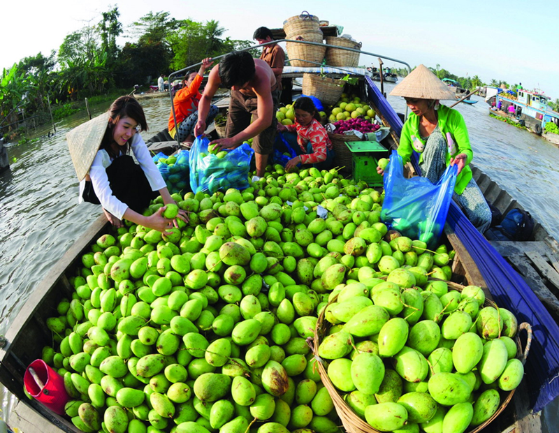 Trái cây miệt vườn đặc sản miền Tây