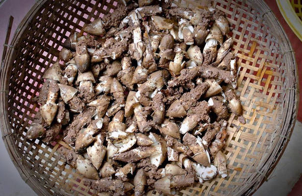 Vào đầu mùa, giá mua tại vườn trung bình 200.000-300.000 đồng một ký, dao động đến 500.000 đồng một ký giữa mùa. Khi xuất lên thành phố hoặc mang ra nước ngoài, giá nấm được đẩy lên cao nhất có khi đến một triệu đồng mỗi ký. Dù giá cao, chỉ rộ có một mùa nhưng ở khu vực Đồng bằng sông Cửu Long, nấm mối vẫn được mệnh danh là “vua nấm”.