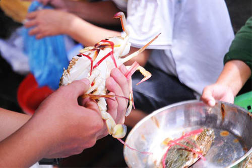 Nếu mua về làm quà, bạn hãy nhờ người bán đóng thùng ướp lạnh kỹ, chỉ mất hai tiếng từ Đồ Sơn về Hà Nội nên chắc chắn người thân sẽ có hải sản tươi ăn ngay trong ngày. Ảnh: Vi Hồ.