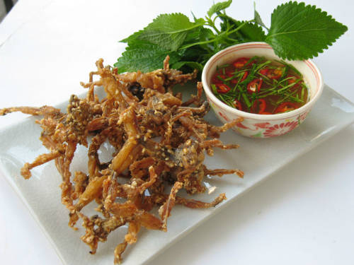 Món nhái đồng xứ Huế thơm ngon bổ dưỡng như gà đồng
