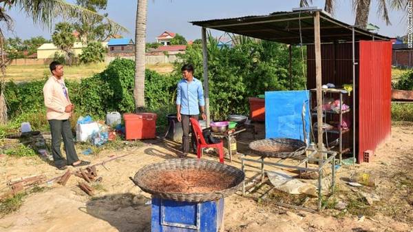 Bếp nấu nhện Tarantula Campuchia tại Siem Reap