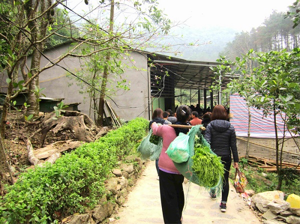 Có người gánh rau su su theo chân khách để bán theo kiểu "di động" dọc đường